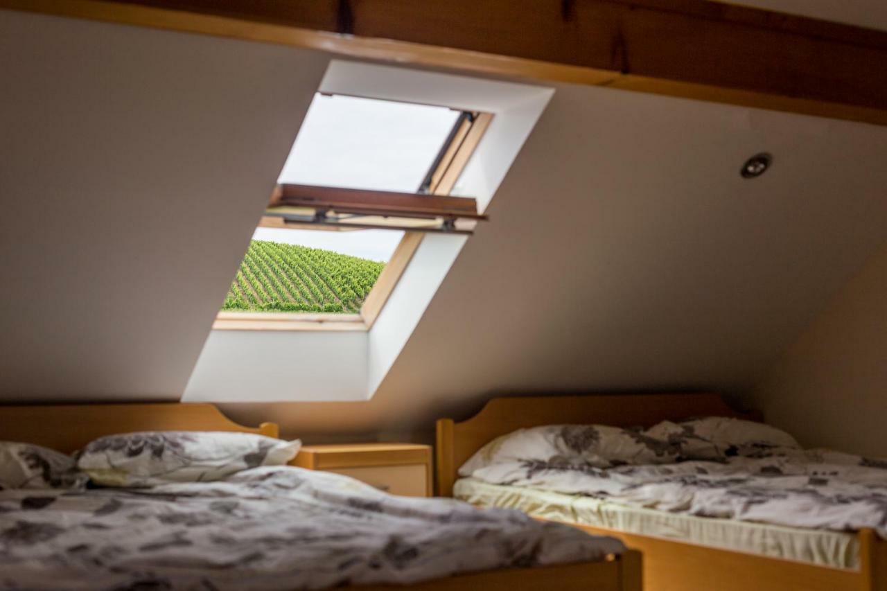 Apartment Velbana Gorca Virstanj Dış mekan fotoğraf